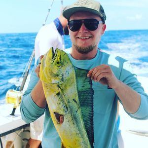 Meet your Posher, Tom